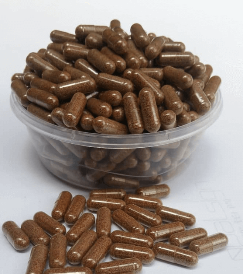 voacanga africana seeds powder capsules